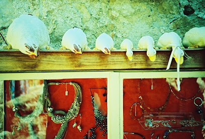 Photo La Salamandre