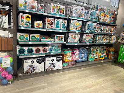 Photo ORCHESTRA AJACCIO Sarrola-Carcopino