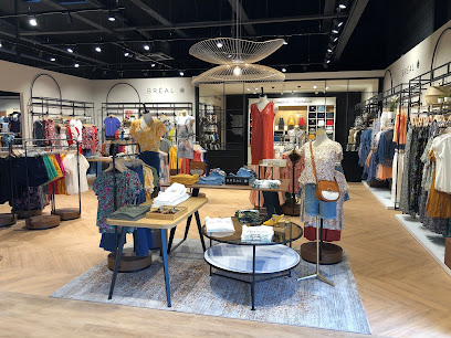 Photo Vib's (Cache Cache - Bonobo - Bréal)