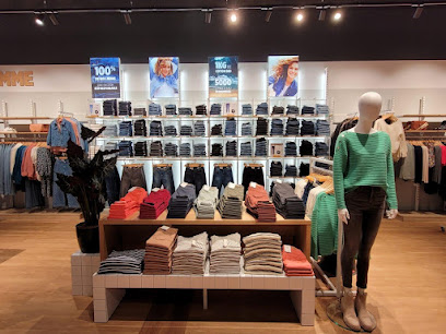 Photo Vib's (Cache Cache - Bonobo - Bréal)