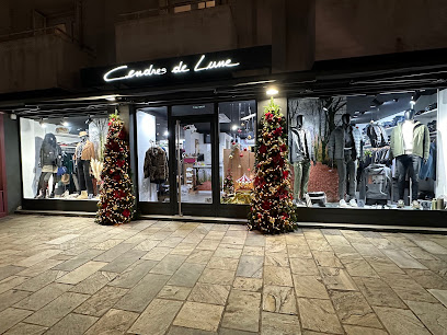 Photo Cendres De Lune