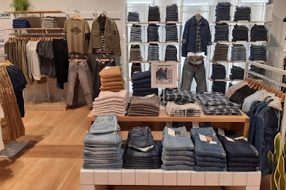 Photo Vib's (Cache Cache - Bonobo - Bréal)