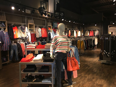 Photo Vib's (Cache Cache - Bonobo - Bréal)