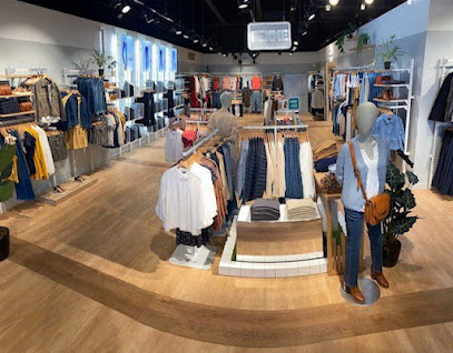 Photo Vib's (Cache Cache - Bonobo - Bréal)