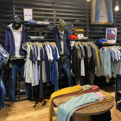 Photo Le Temps des Cerises