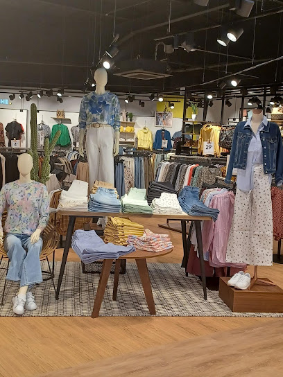 Photo Vib's (Cache Cache - Bonobo)