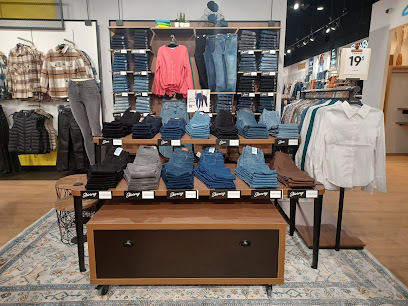 Photo Vib's (Cache Cache - Bonobo - Bréal)