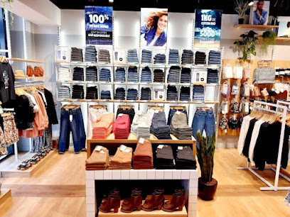 Photo Vib's (Cache Cache - Bonobo - Bréal)