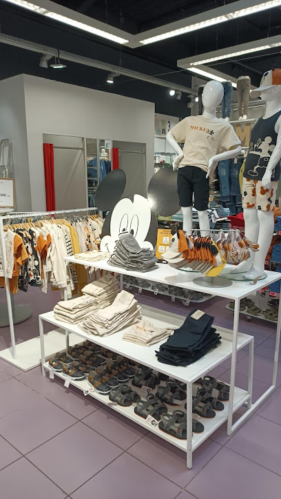 Photo Orchestra MANDELIEU LA NAPOULE