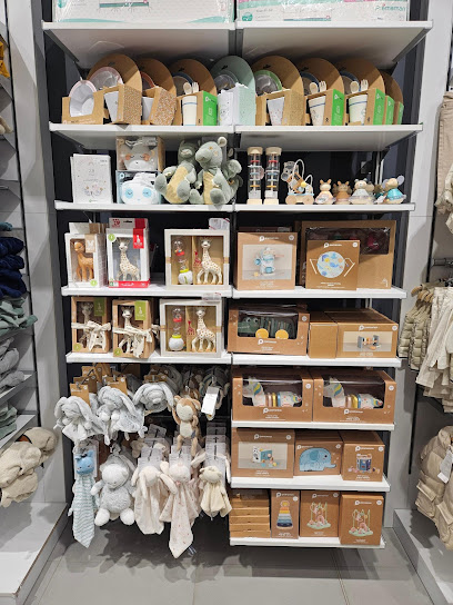 Photo Orchestra BRIOUDE