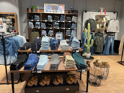 Photo Vib's (Cache Cache - Bonobo - Bréal)