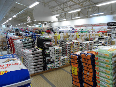 Photo Magasin Vert Châlons en Champagne