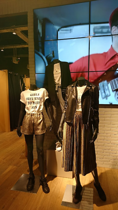 Photo BIZZBEE BEGLES