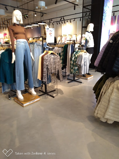 Photo JENNYFER Saint Etienne Steel