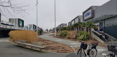 Photo Brice Jules Bizzbee