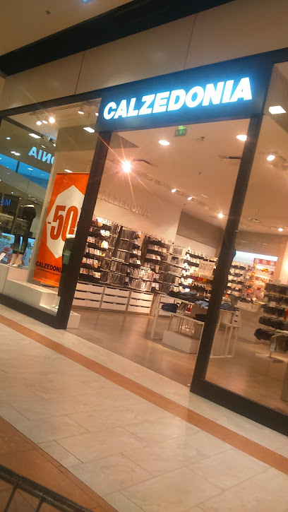 Photo Calzedonia