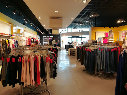 Photo Cache Cache Bonobo