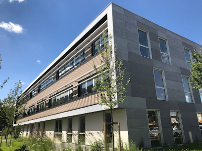 Photo Grain de malice siege