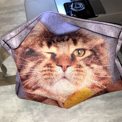 Photo Chat fait du bien