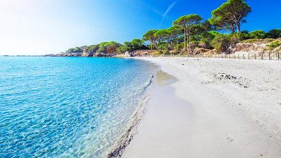 Photo AURIS DIFFUSION